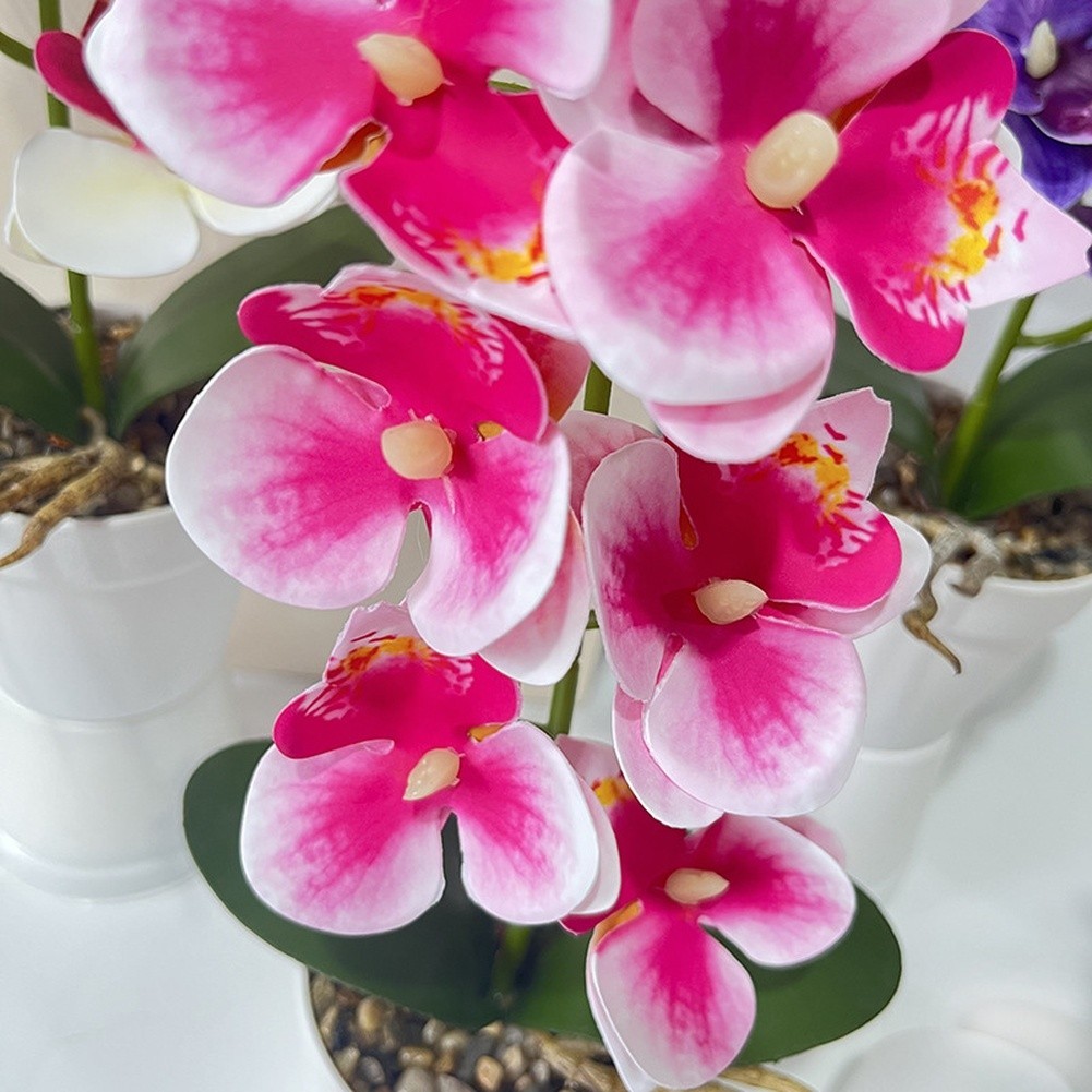 Life-Like 7-Bloom Artificial Orchid in Stylish White Stone Pot 11.81 in