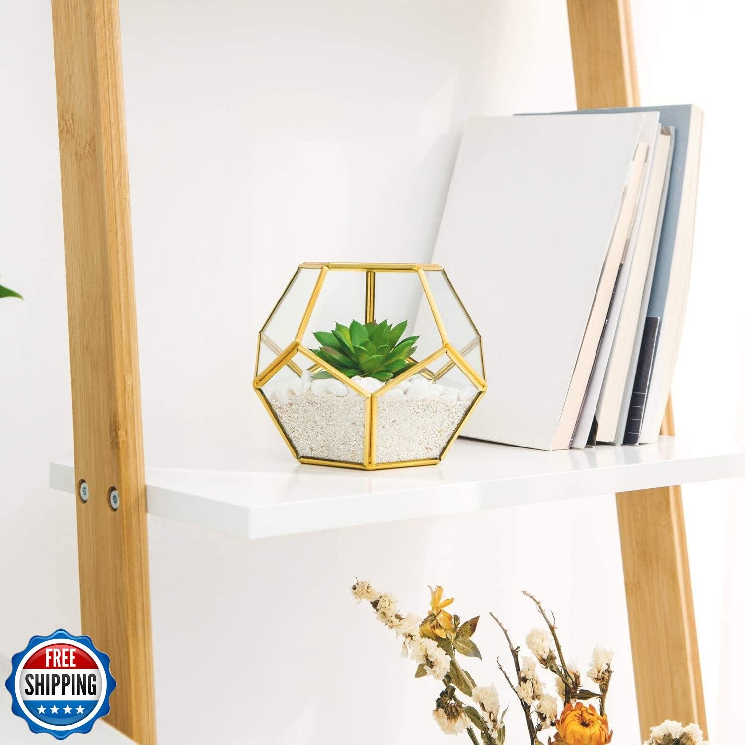 Mkono 4 Inches Mini Glass Geometric Terrarium Container Set of 3