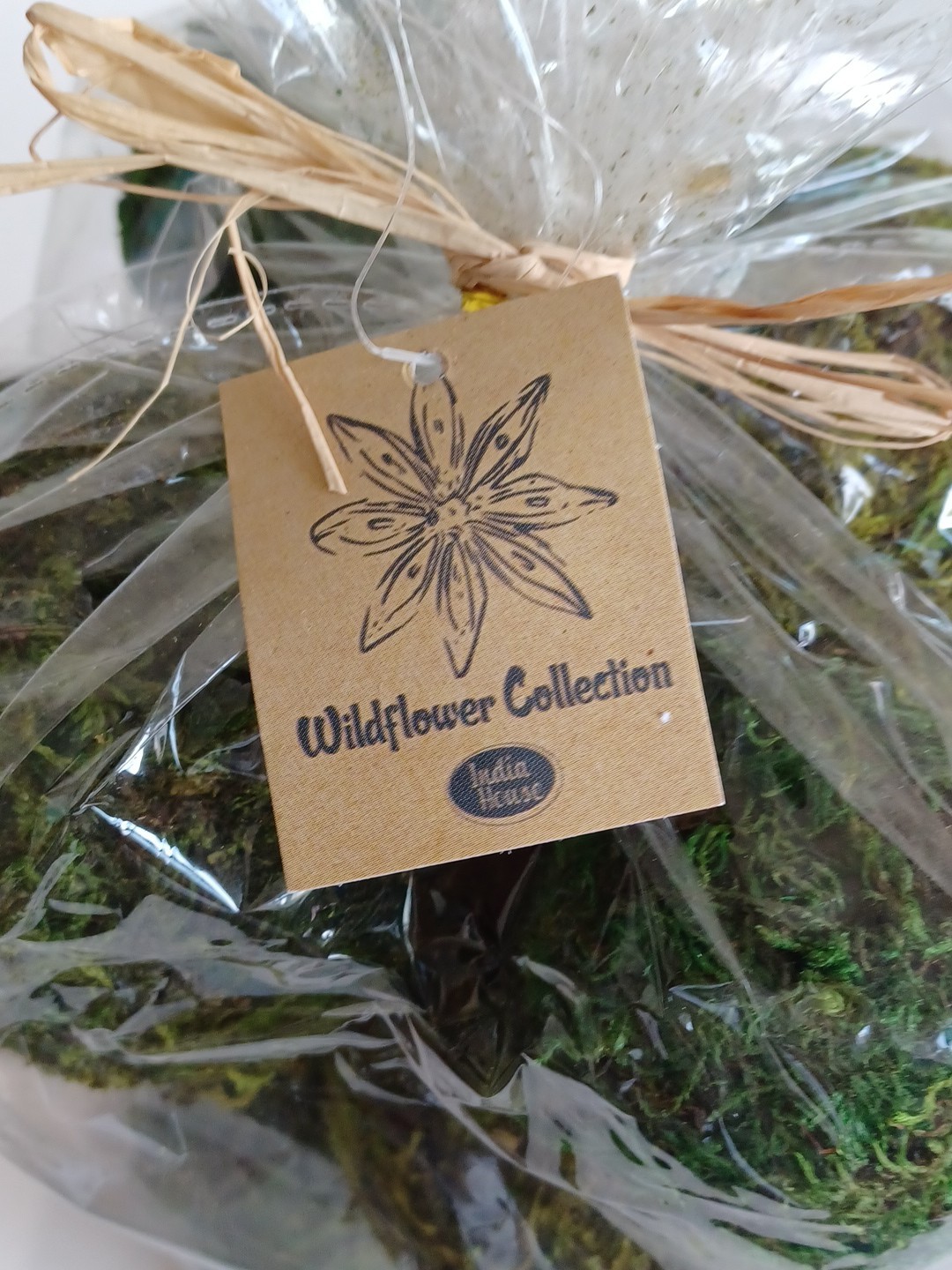 Wildflower Collection 1 Bag Of Decorative Moss Balls, Various Greens & Sizes