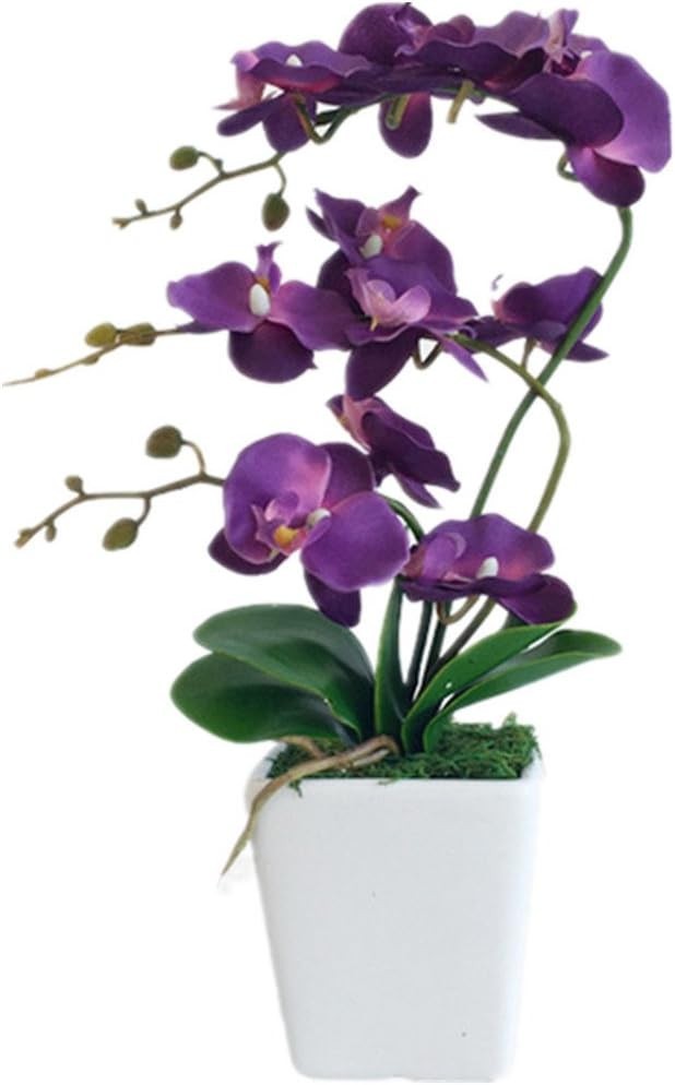 Lifelike 15″ Phalaenopsis Orchid with Square Ceramic Pot – Ideal for Home Decor