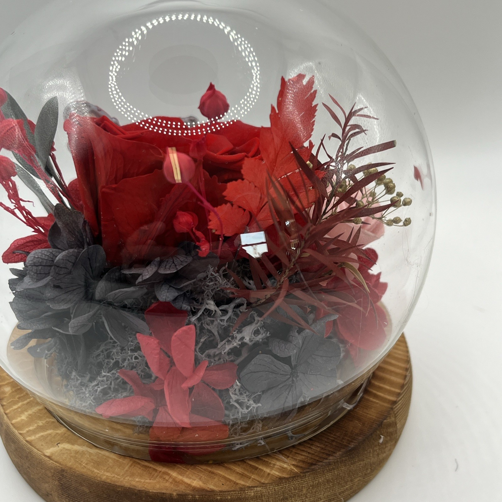 Preserved Flowers Roses in Glass Dome, Forever Flowers for Delivery Graclect New