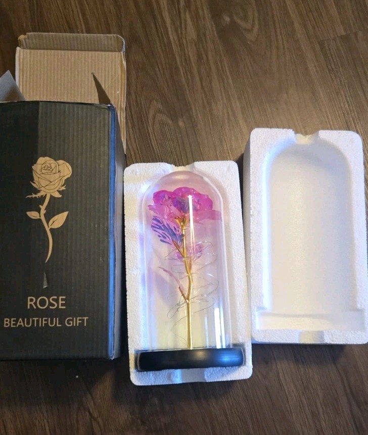 Light Up Rose Flower in a Glass Dome LED Lights Gift for Birtday / Holiday Pink