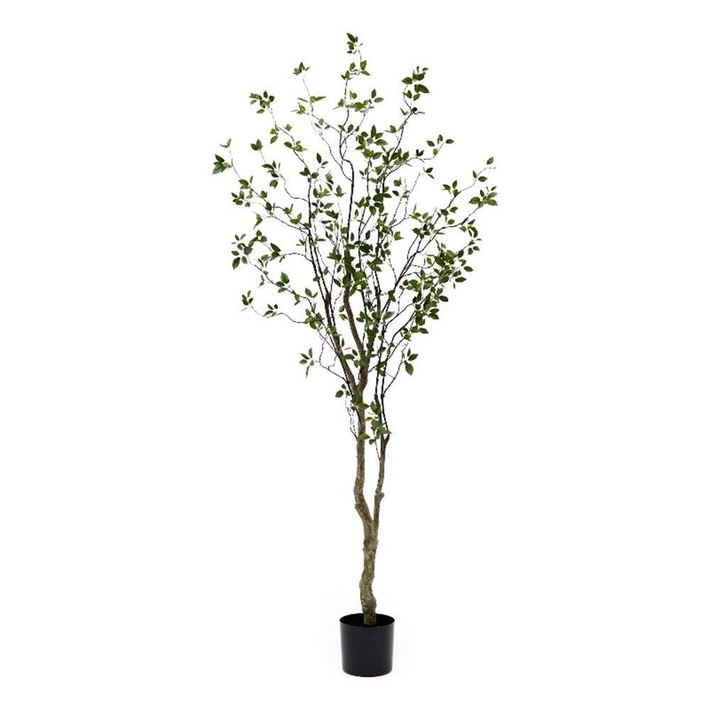 Nearly Natural 8ft Minimalist Citrus Artificial Tree in Green