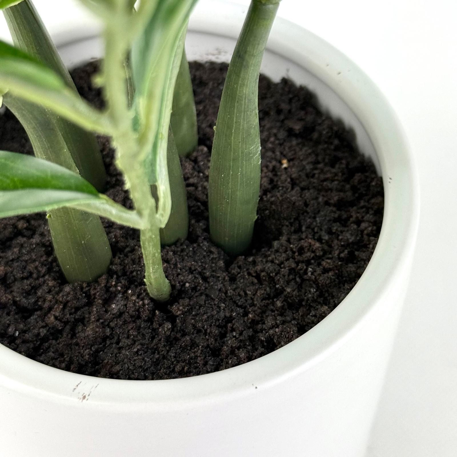 10.5″ Small Tabletop ZZ Artificial Plant in White Ceramic Pot – Threshold