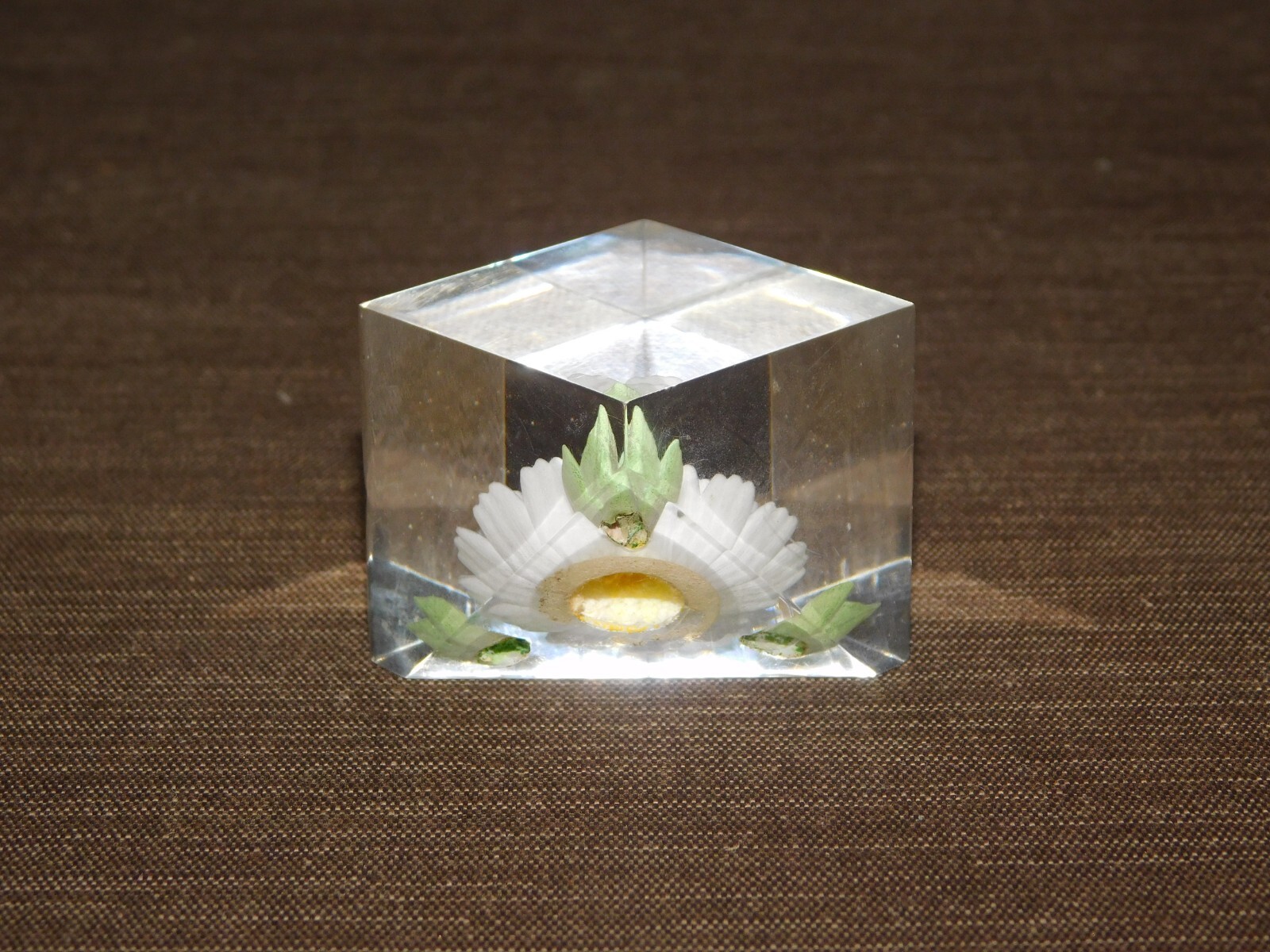 VINTAGE DAISY FLOWER IN PLASTIC 1 1/2″ X 1 1/2″