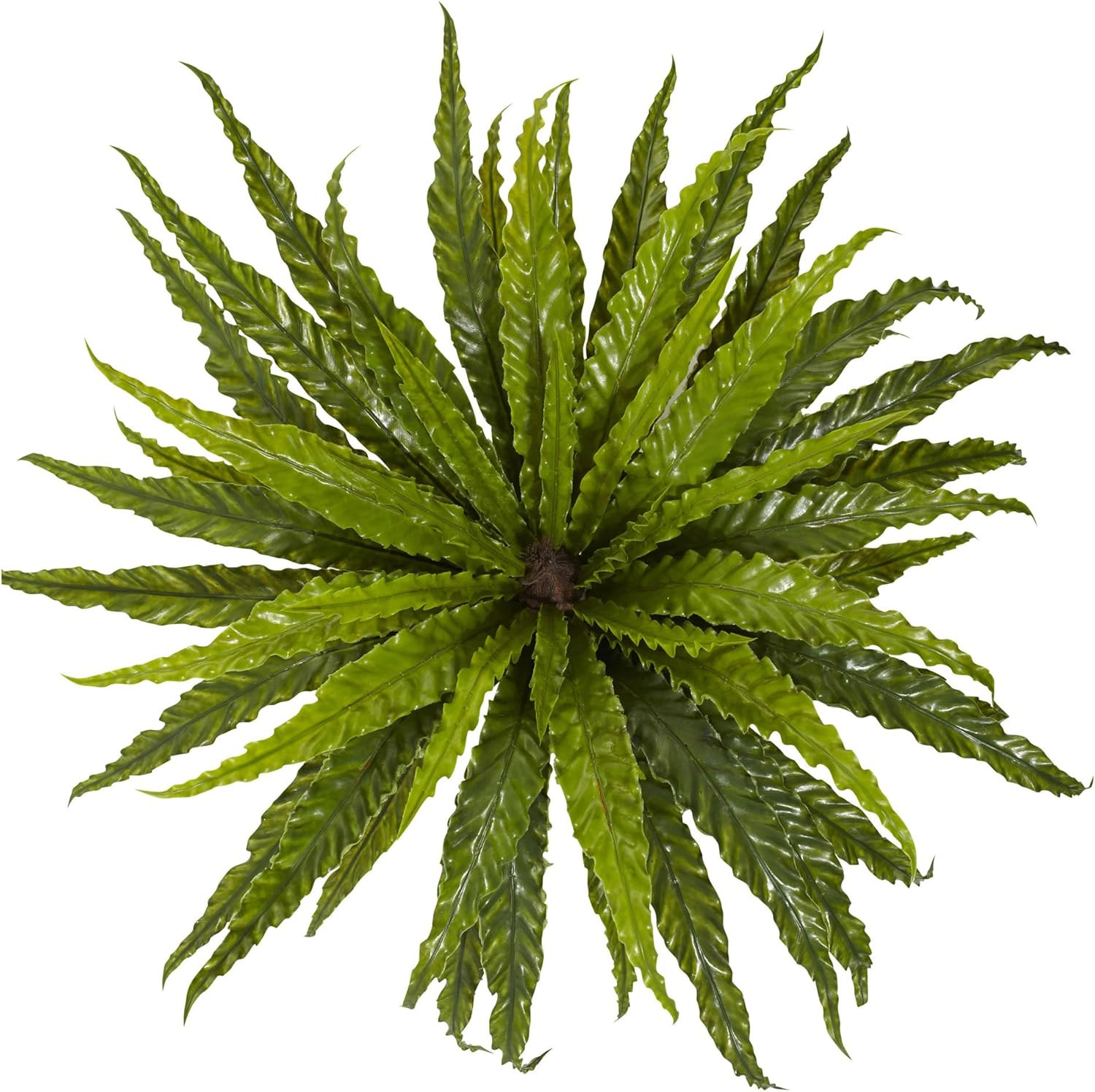 Set of 2 26” Green Asplenium Artificial Plants for Home Decor