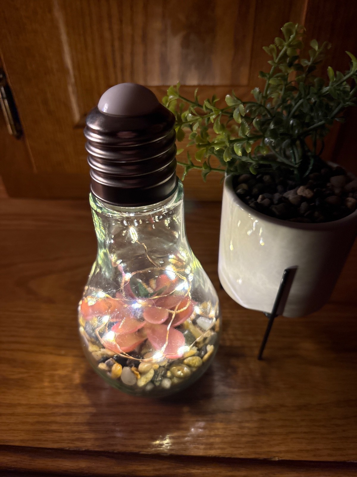 Two pieces, succulent decor