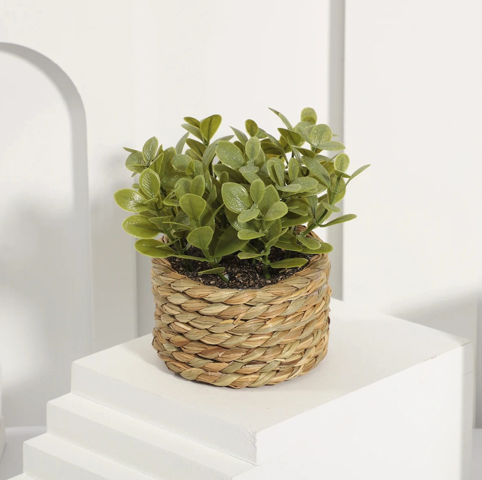 1pc Artificial Eucalyptus Grass Small Potted Plant 11cm Home Decor – NEW