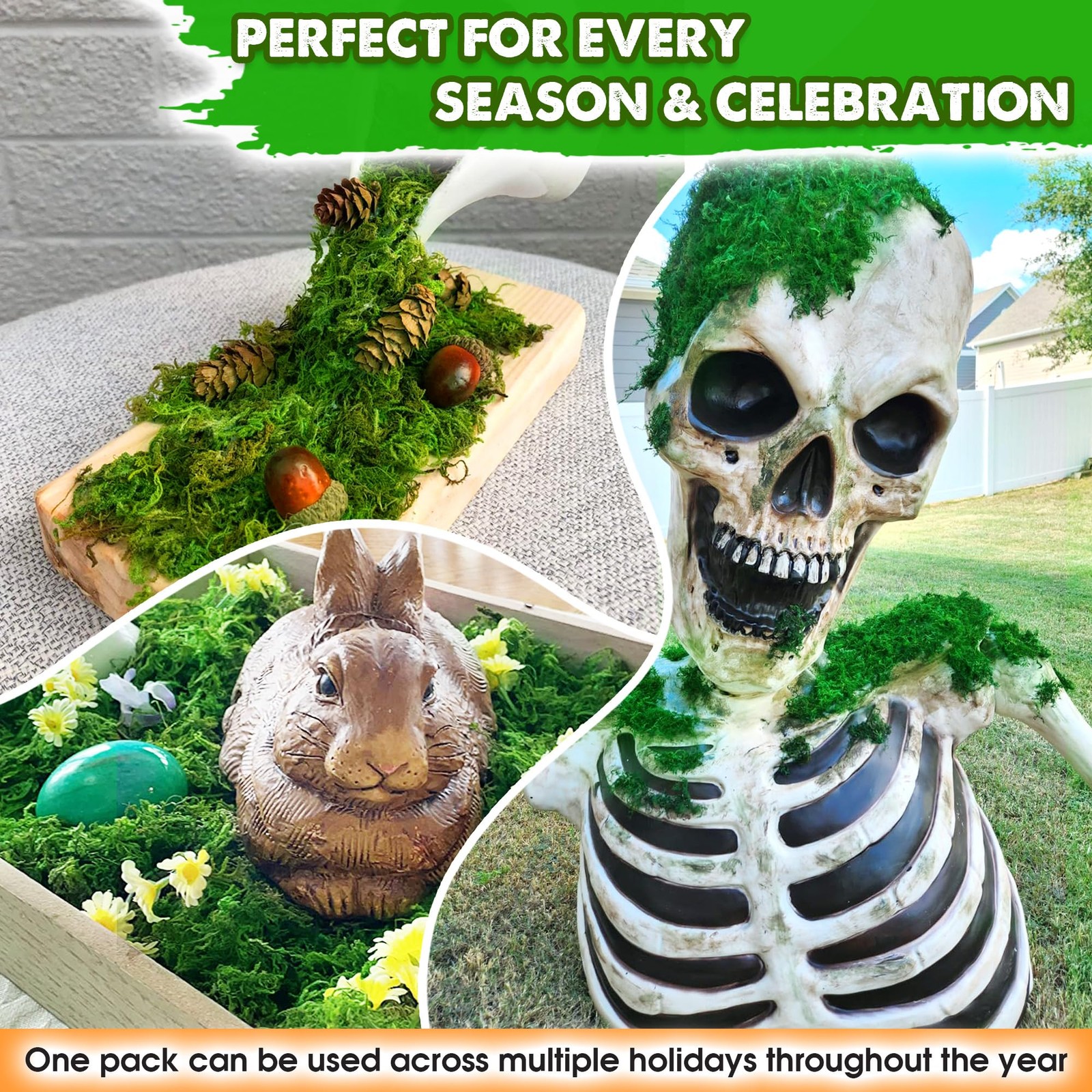 Green Forest Moss for Crafts, Real Dried Decorative Moss for Indoor Planter S…