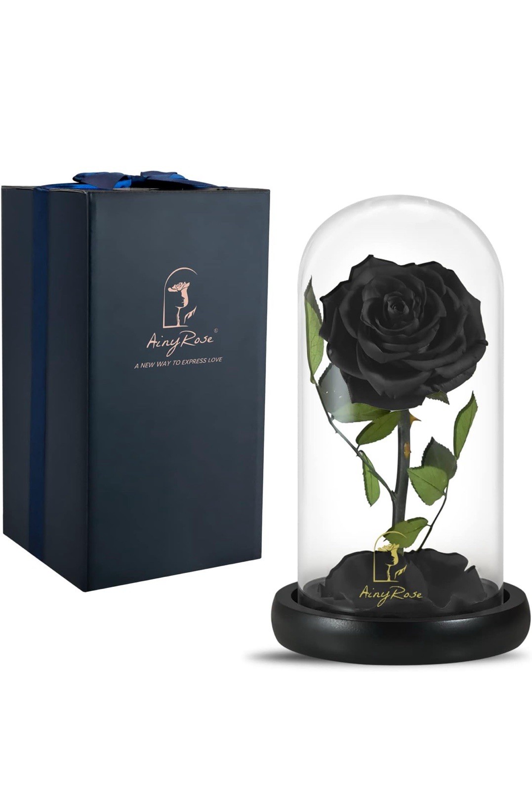 Black Real Rose Preserved Shabby Chic Boho Glass Dome Victorian Gothic Belle