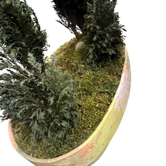 FOREVER GREEN ART Potted Quartet Mini Cypress Tree In Oval Terra Cotta Planter