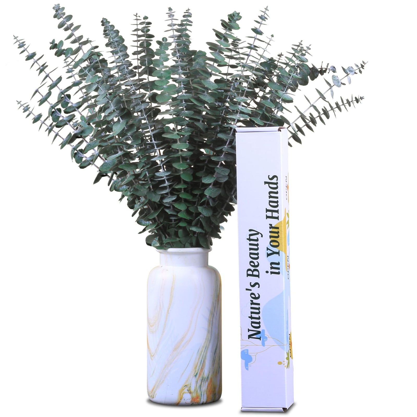 Dried Eucalyptus Stems 30Pcs 17 Inch Real Preserved Branches Home Decor Vase