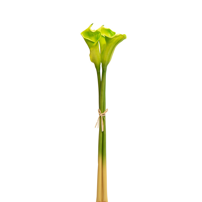 Factory Direct Craft Artificial Green Calla Lily Bundle | for Indoor Decor
