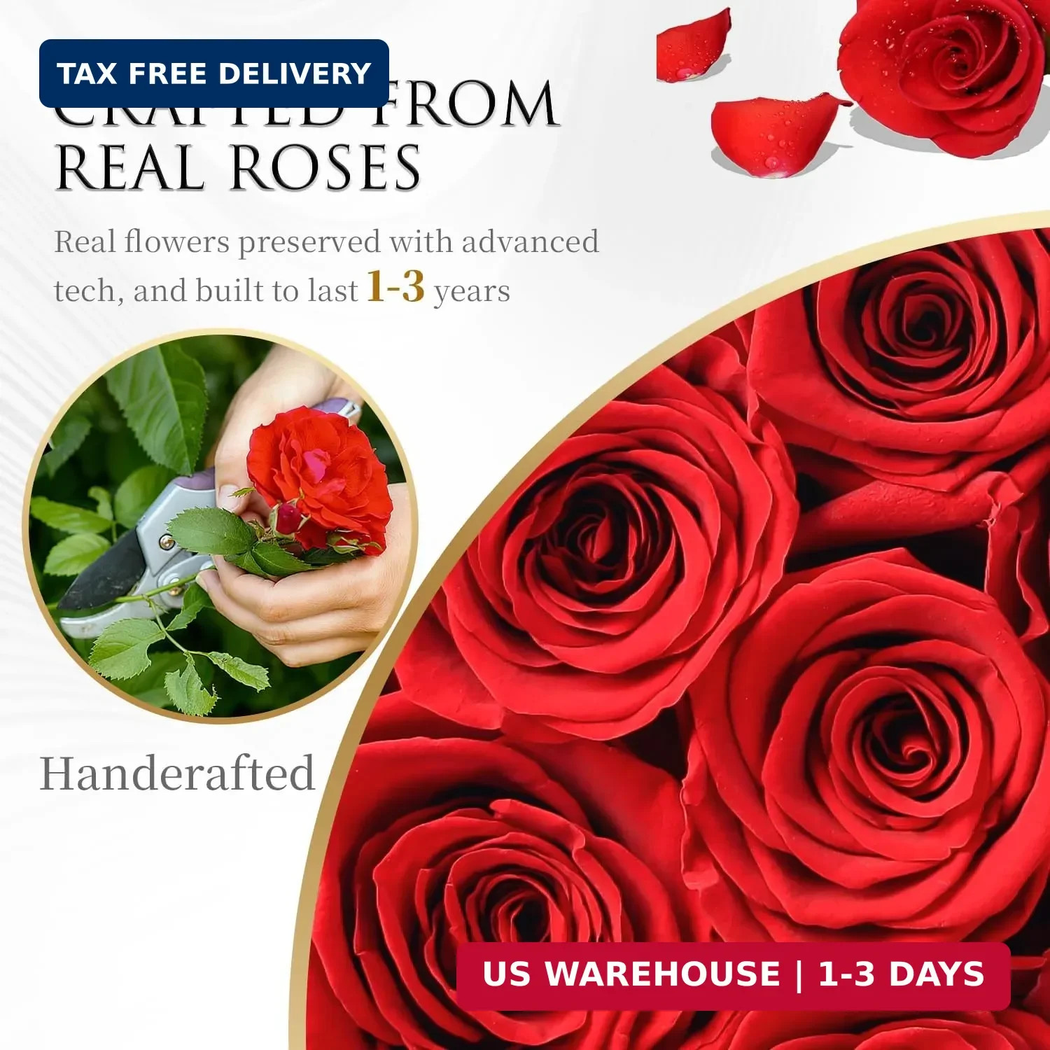 Flowers Forever Preserved Roses – 27 Preserved Flowers for Delivery Women Birthd