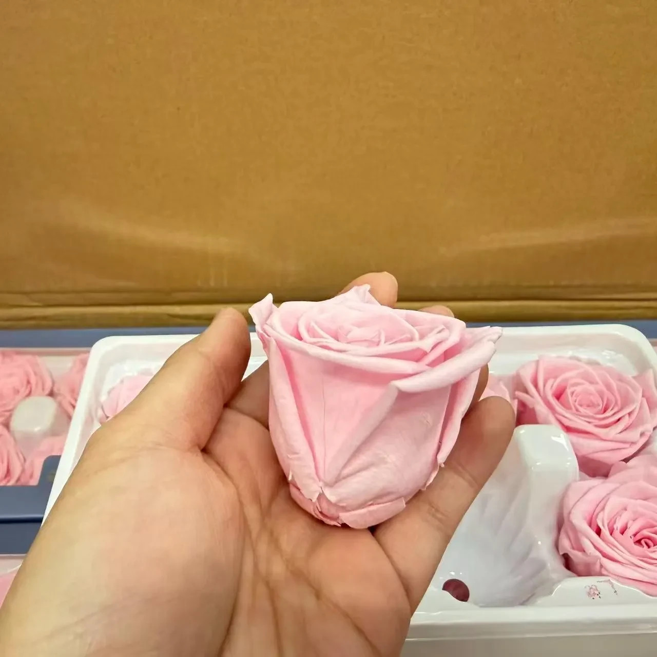 8 Preserved Pink Roses Real Eternal Flowers DIY Crafts Wedding Gift Decor