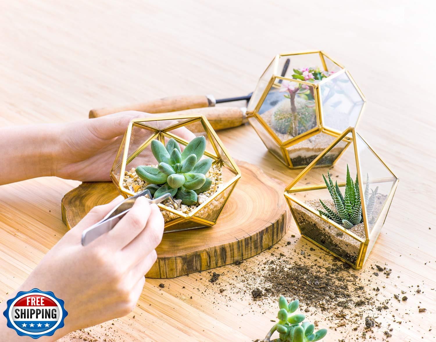 Mkono 4 Inches Mini Glass Geometric Terrarium Container Set of 3