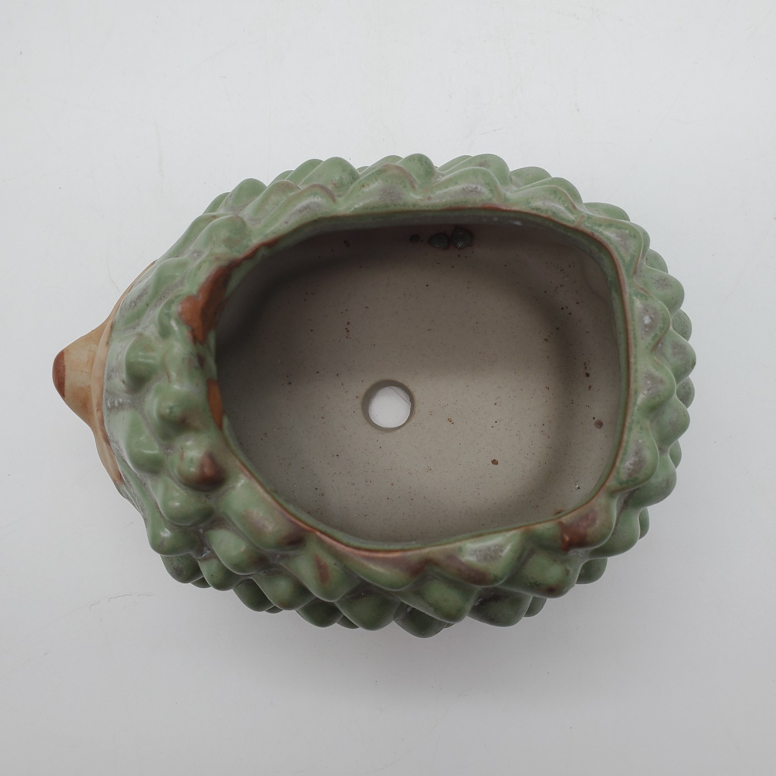 Animal Shaped Ceramic Succulent Cactus Flower Pots Planter Hedgehog Container