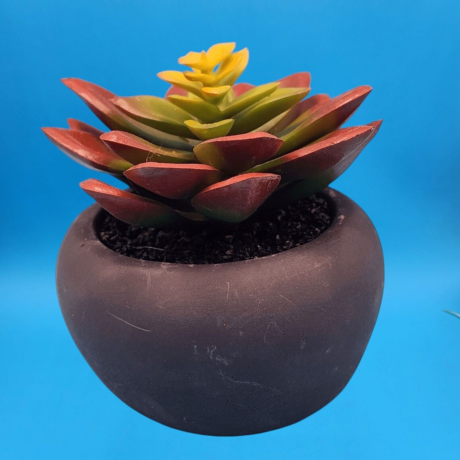 Faux Succulent Plant In Matte Black Round Pot Home Decor House Plant Office