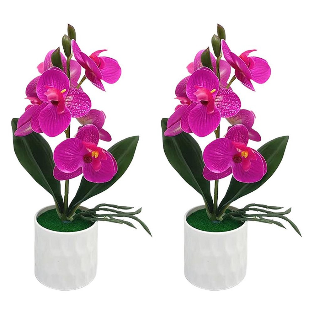Realistic Phalaenopsis Orchid Potted Flower Set of 6 for Various Spaces