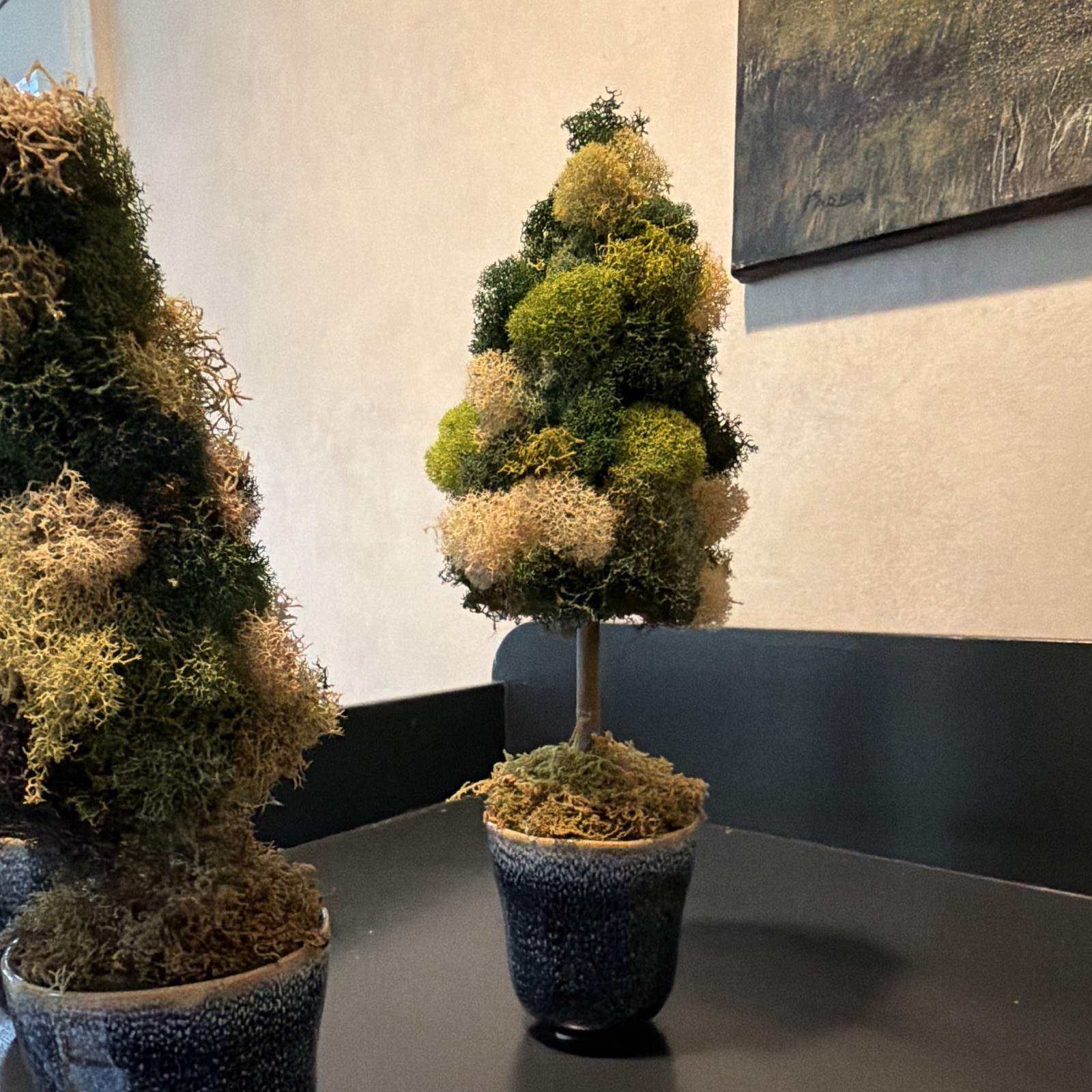 Set of 3 Artificial Moss Topiary Trees in Pots, Green/Beige Faux Topiary