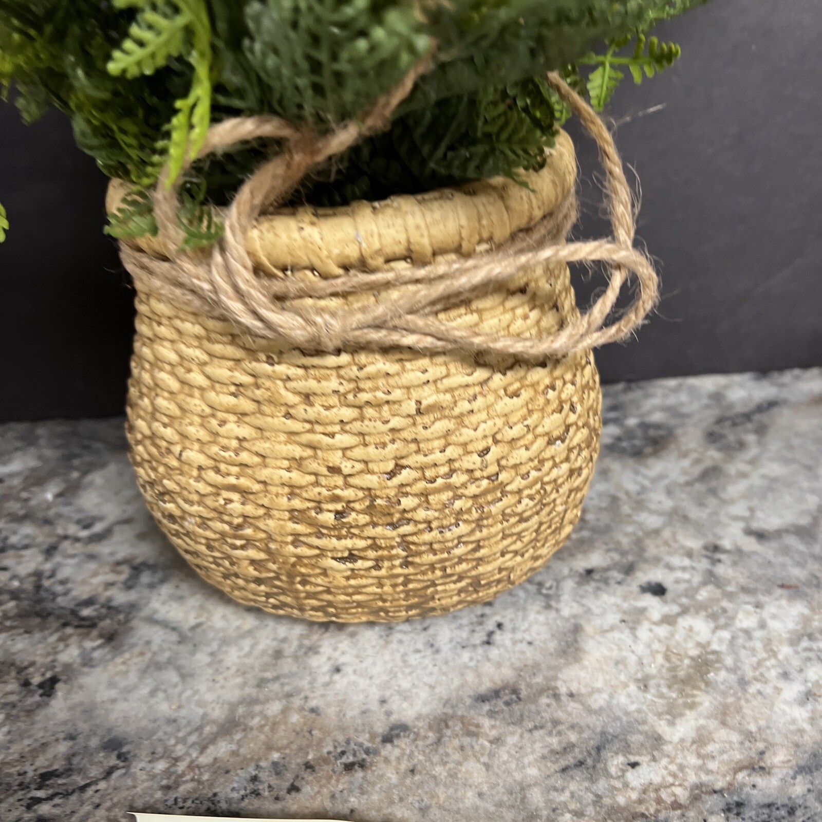 Natural Touch Lace Fern in Faux Woven Basket Valerie Parr Hill 12”