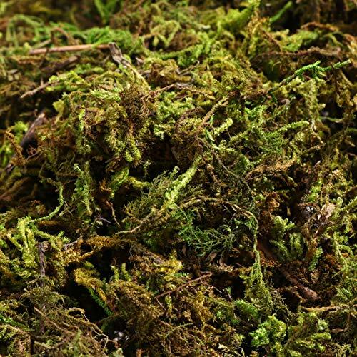 1 Pack Artificial Moss Fake Lichen Simulation Green Faux Pot Moss for DIY