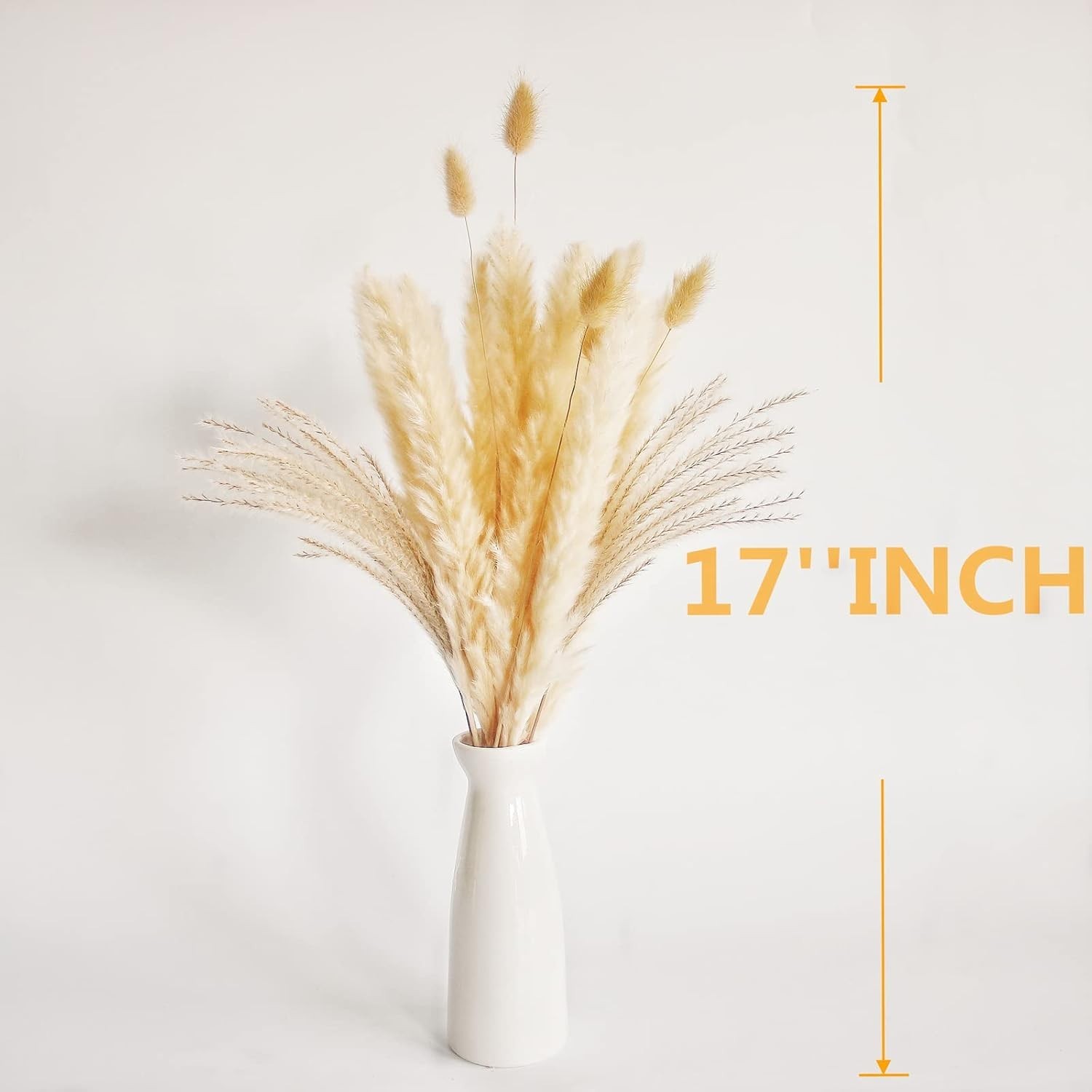 Fluffy Dried Pampas Grass & Bunny Tails Bundle – Perfect for Cozy Home Decor