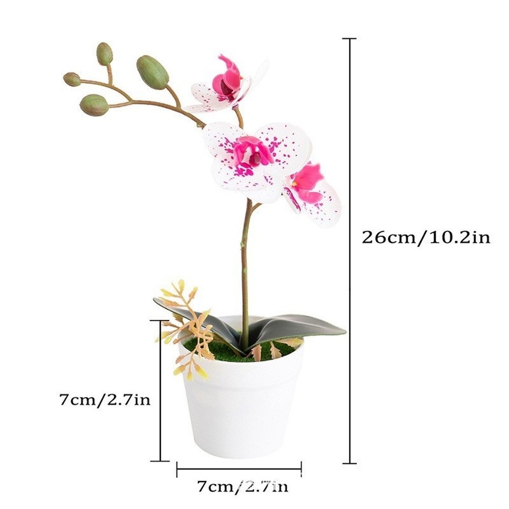 Silk Phalaenopsis Orchid Potted Plant 26cm for Contemporary Home Office