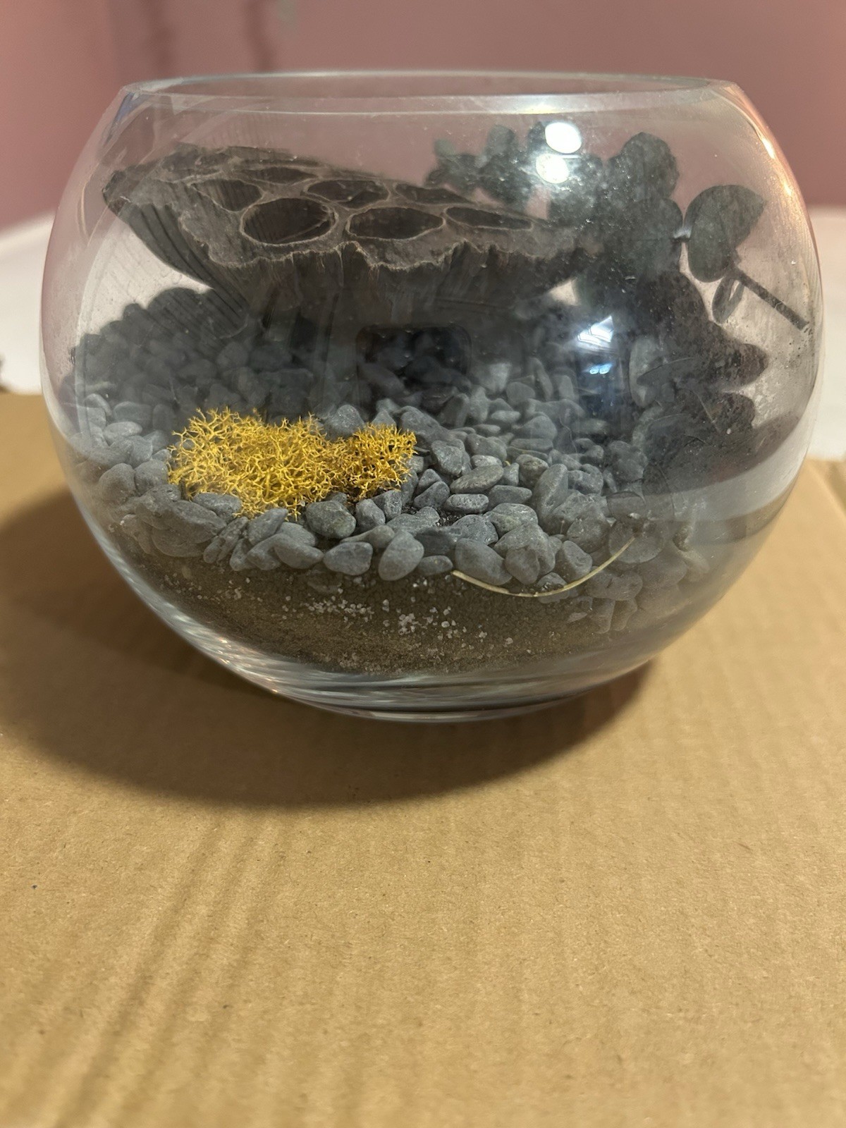 terrarium Glass Globe Sand Gravel Fake plants SpongeShelf Counter Decor Shells