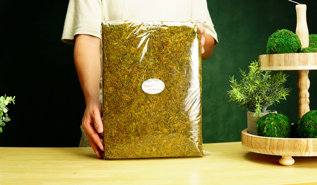 Large Capacity 2.2LB Fresh Green Fake Moss for Indoor Plants & Crafts – Home Dec