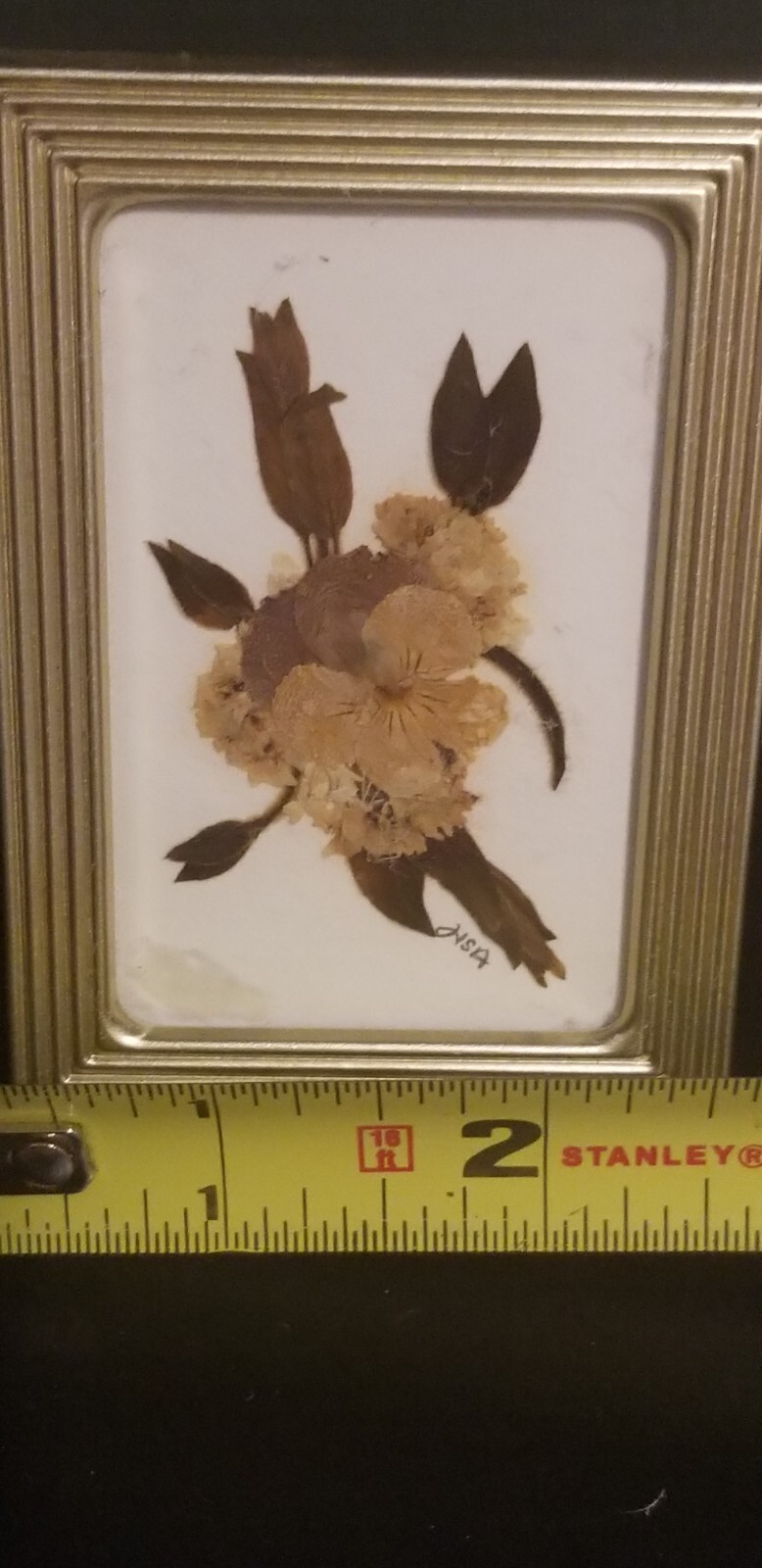 Small 2 3/8″ X 3 3/8″ Press Dried Flower #9 Multicolors Framed FF25