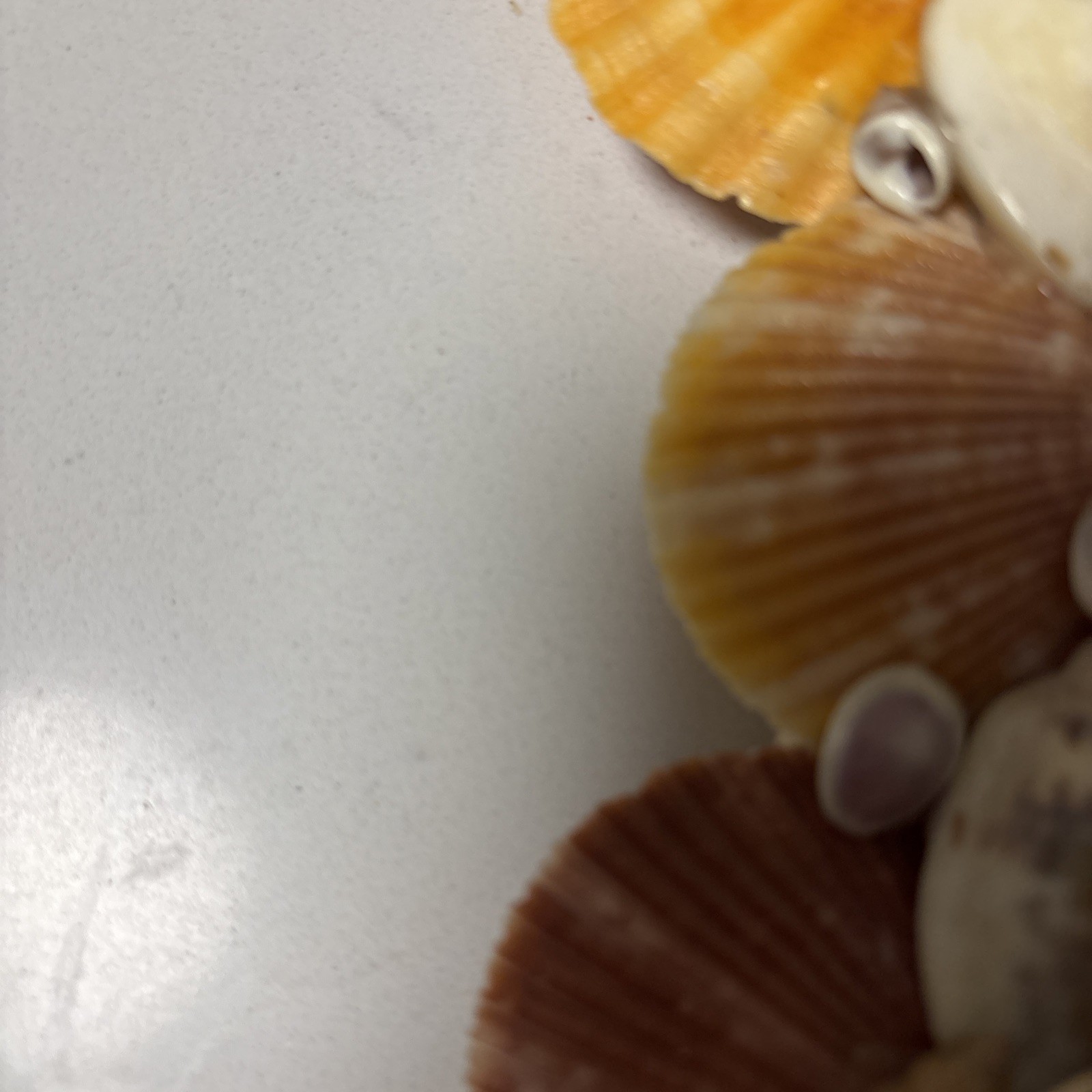 Handcrafted Sea Shell Wreath 14”Beach Seashore Coastal Decor Beautiful Vintage