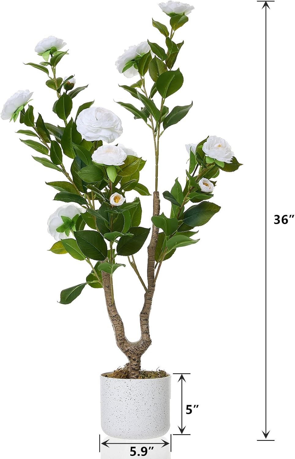 3FT Faux Camellia Tree in Pot – Realistic Indoor/Outdoor Decor with White Flower