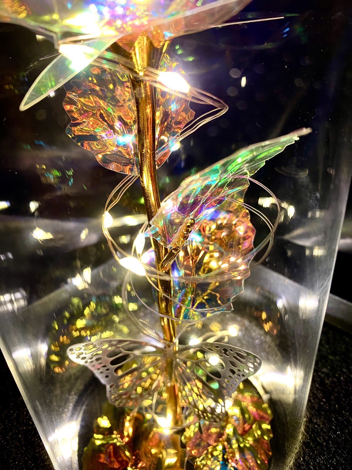 Eternal Rose In Dome With Fairy Lights Batteries Included Best Wishes Boxed Gift