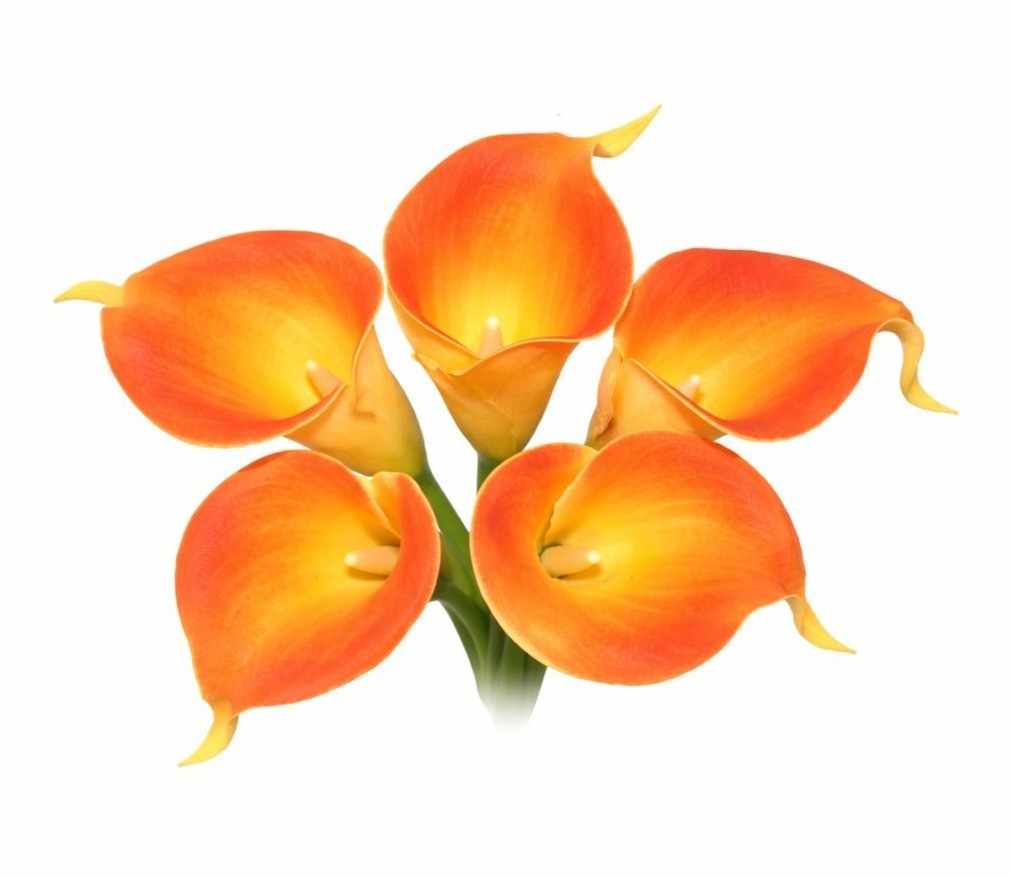 Orange Calla Lily Bundle Faux Flowers 5 Stem Bouquet Vintage Floral Decor Weddin