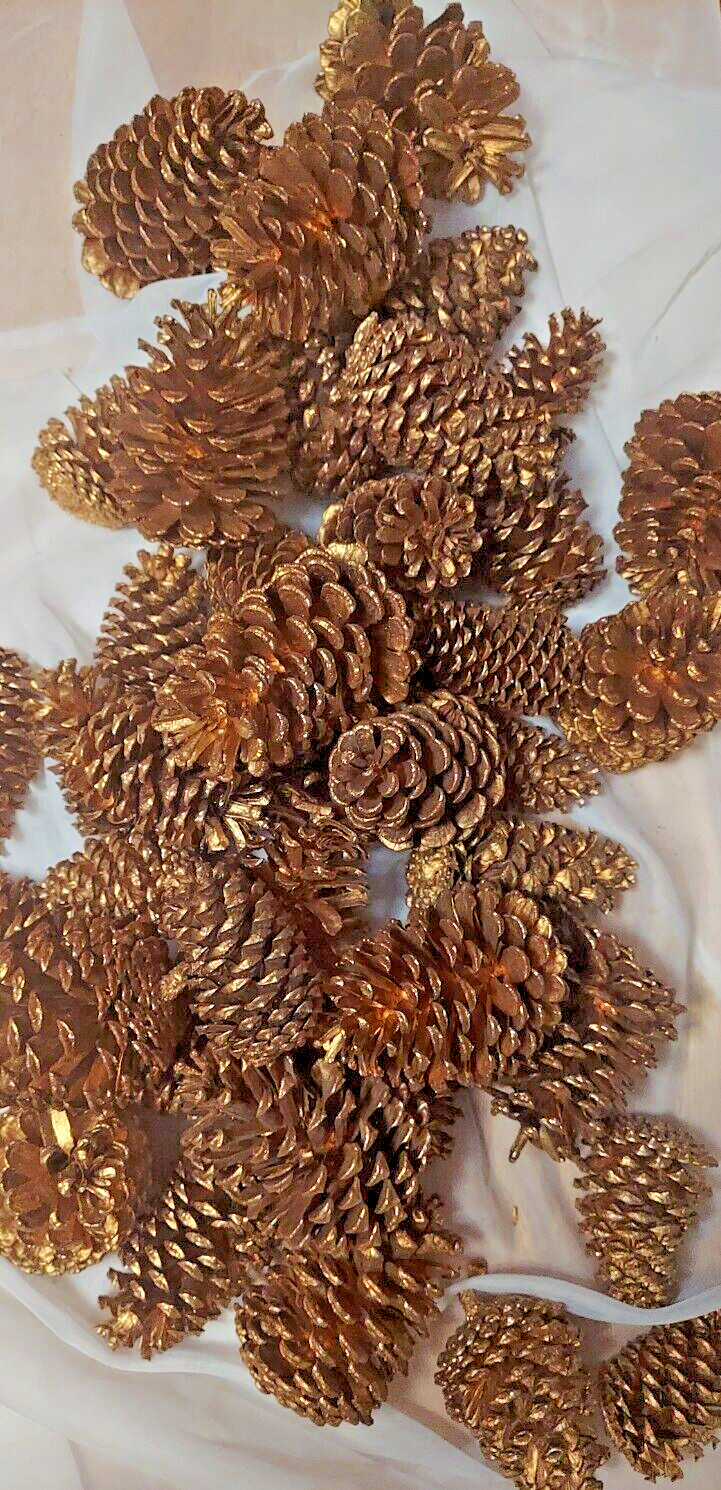 🎅15 Gold Painted Natural Pinecones