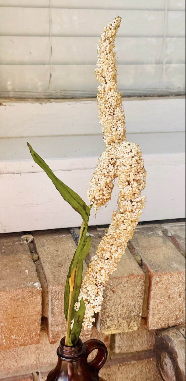 Cream Millet Stem, 30” Bundle Of 3