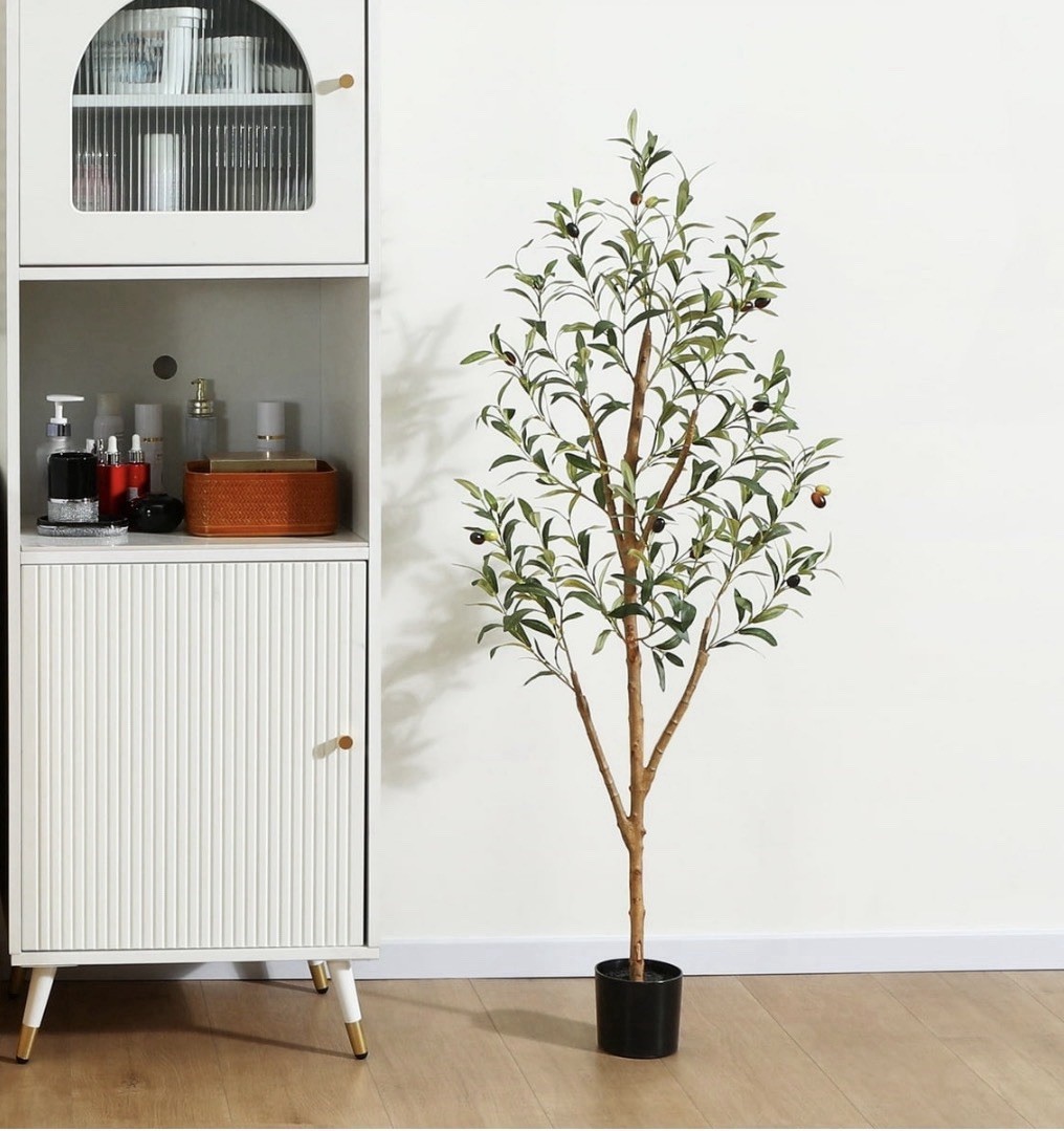 DR. Planzen 4 ft Artificial Olive Tree in Pot, Green/Brown/Black, 5 in Wide
