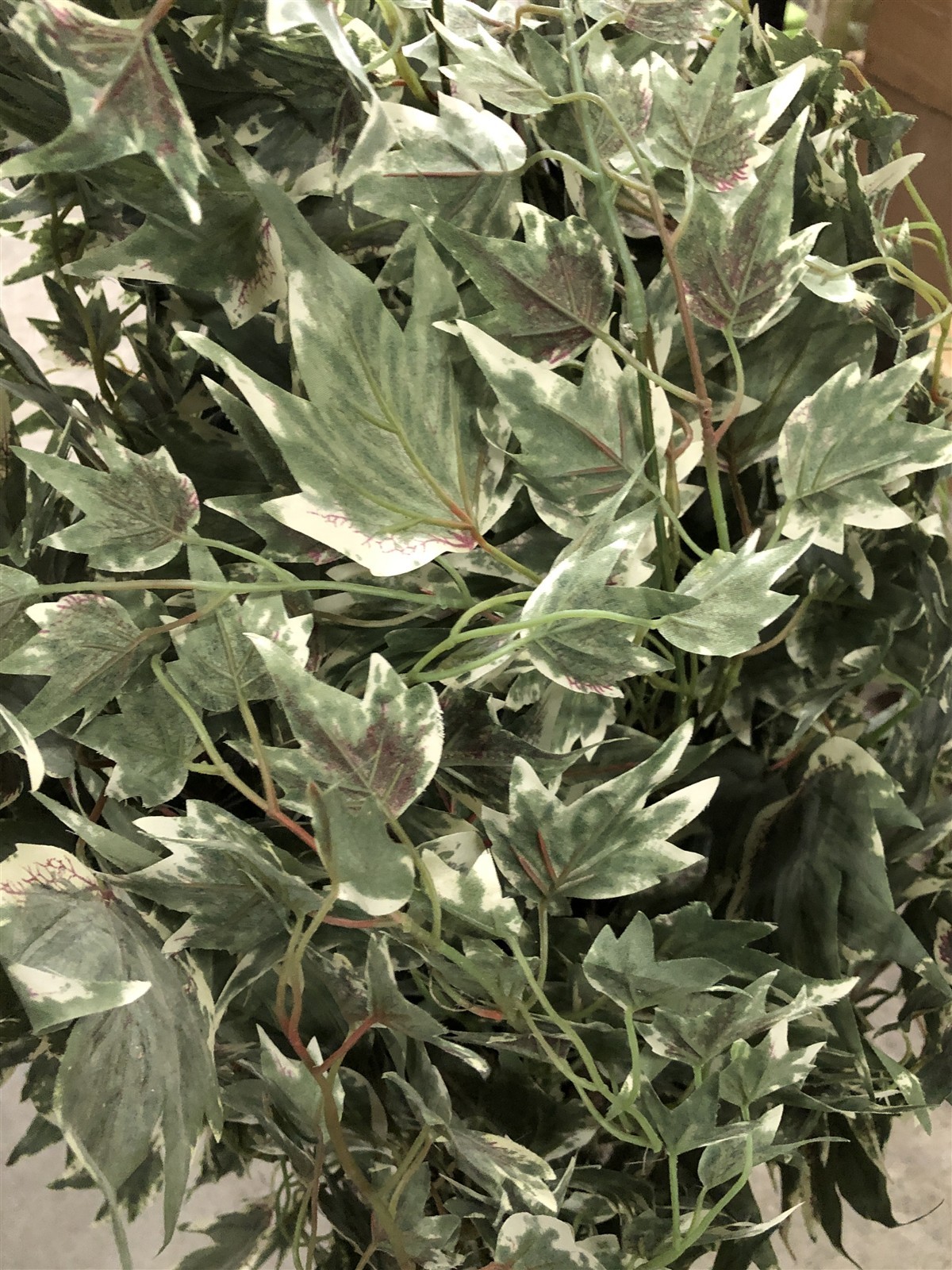 Vickerman TXX1640 4 ft. Silver Maple Extra Full