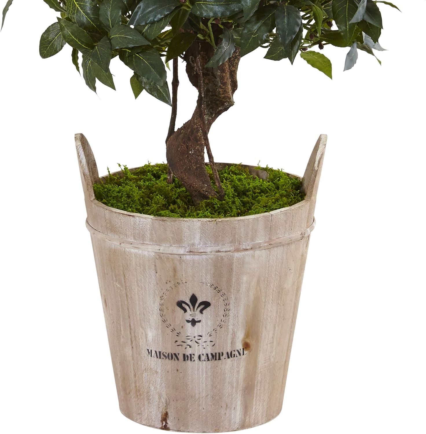4.5Ft Sweet Bay Double Topiary Tree in Rustic Farmhouse Planter