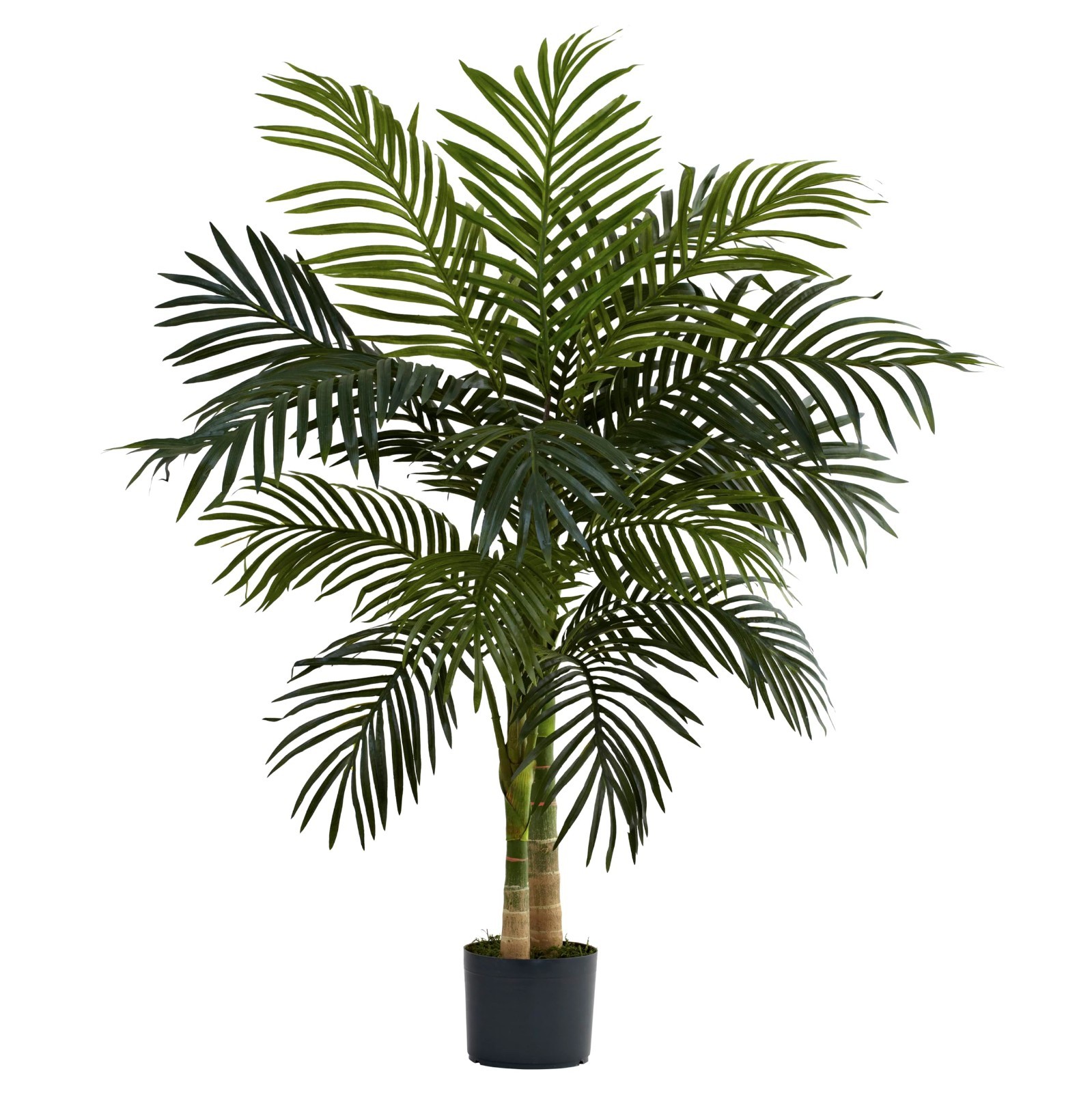 4ft Double Stalk Golden Cane Palm – Realistic Faux Plant, Indoor Tropical Decor,