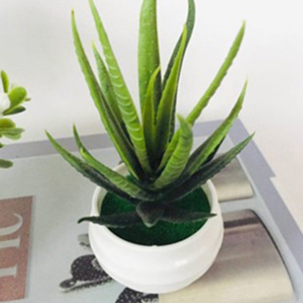 1*14*8cm, 13*11cm Aloe, Plastic Flower Artificial Potted Plant For Home, Office