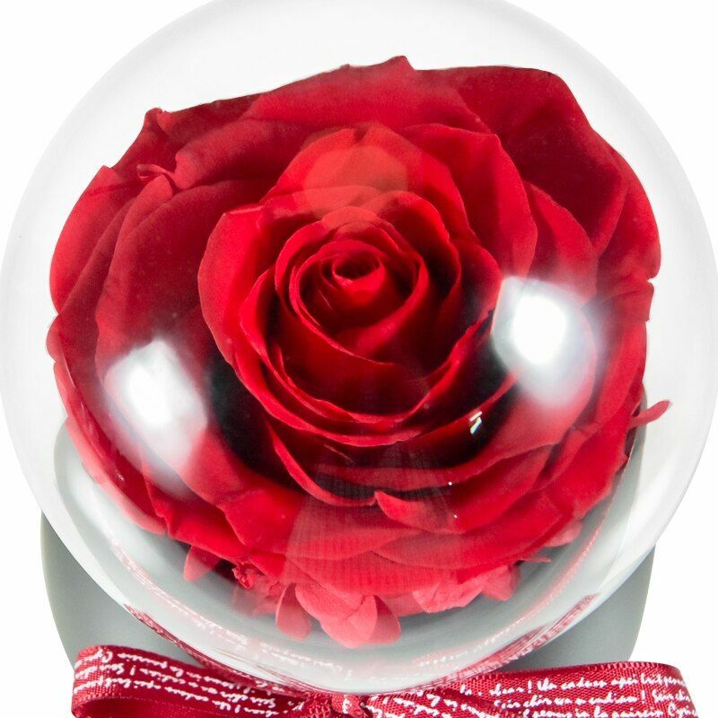Automatic Rotating Rose Flower Love Valentine Day Birthday Romantic Gifts Womens