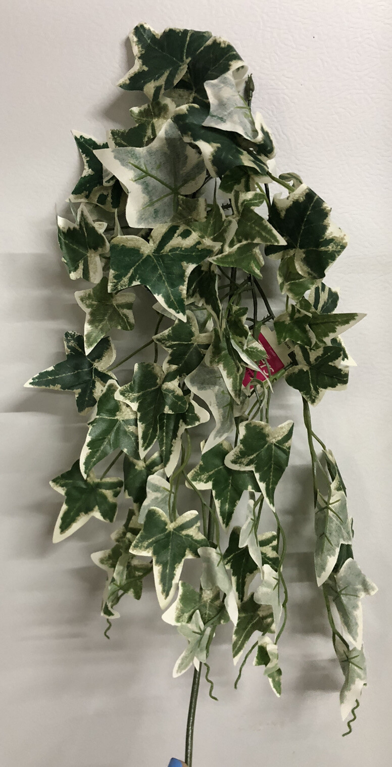 6 x NEW Teters Cascading English Ivy Artificial Ivy Vine Variegated PICKS