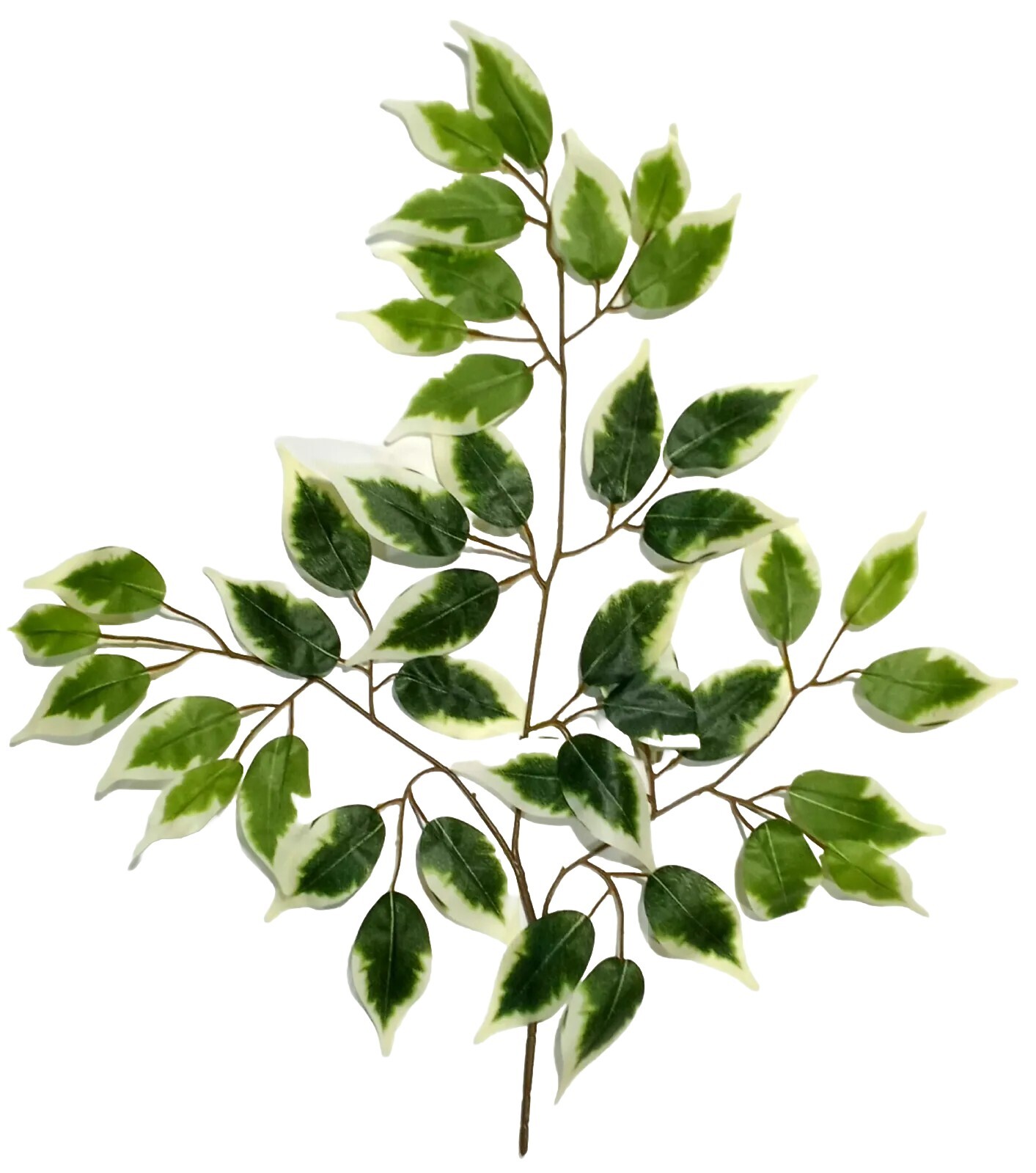 (6-Pack) Variegated Ficus Leaf 23″ Spray Filler Background Foliage Home Decor US