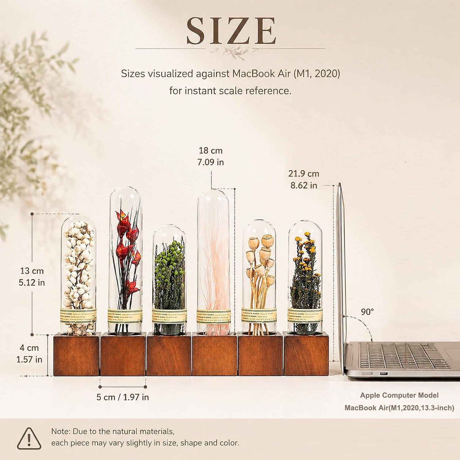 6Pcs Dried Flower Decor,Knick Knacks for Shelves,Cool Stuff for Bookshelf,Sma…