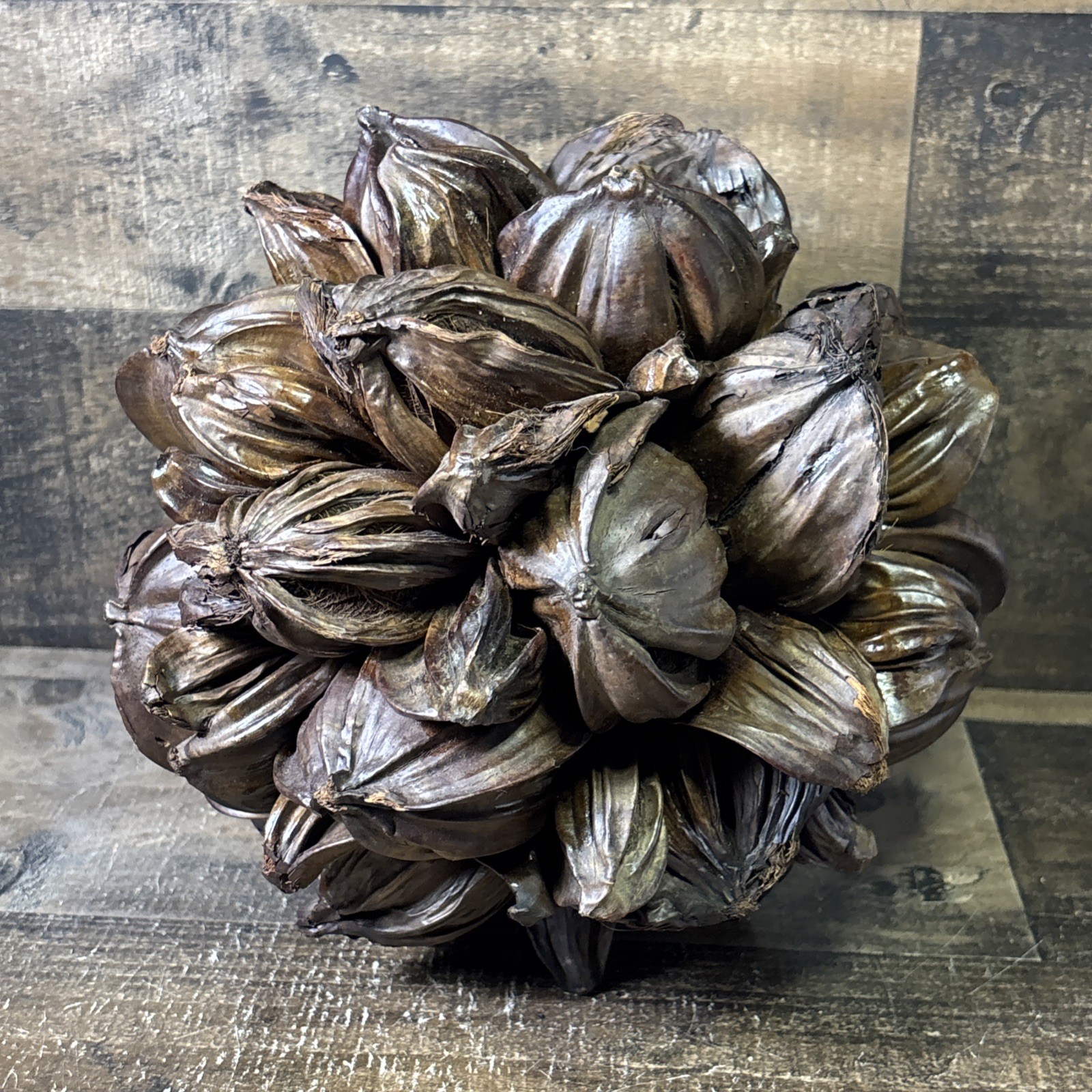 Vietnamese Water Coconut Nipa Palm Fruit Cluster Seed Pod Decor Decoration