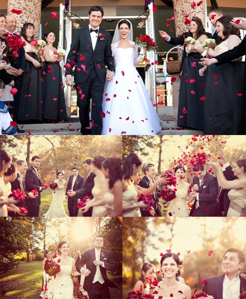 3000 PCS Red Rose Petals Silk Artificial Petals Vase Home Decor Wedding