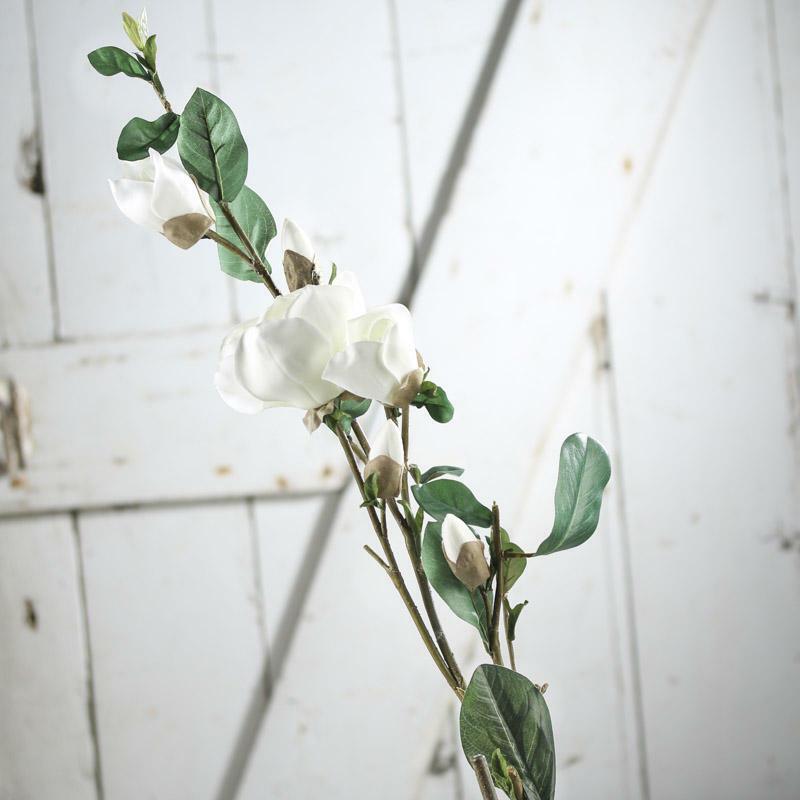 Pair of Soft Creamy White Open and Closed Rose Stems
