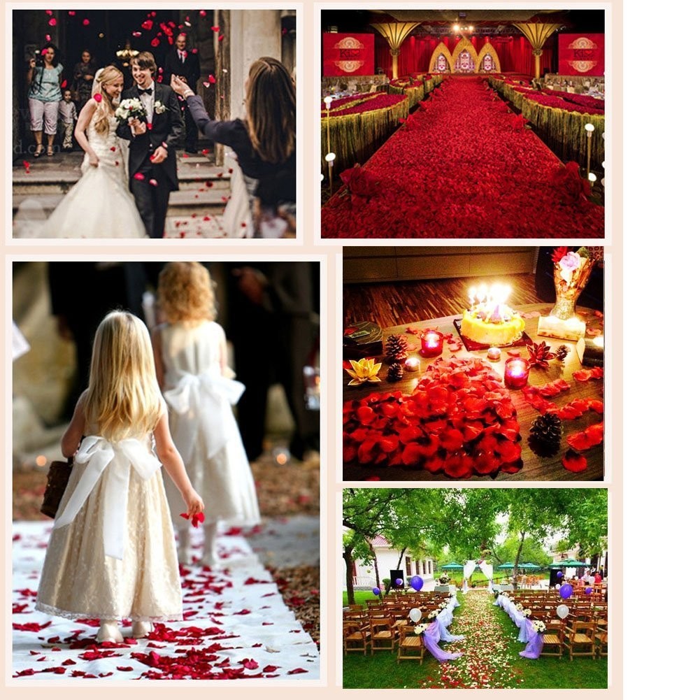 1000pcs Rose Petals Artificial Silk Flower Rose Petals for Wedding Decoration…